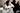 Sberna. FinecoBank . Siglacom Club <br/ > Concerto Sberna 50