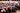 Sberna. FinecoBank . Siglacom Club <br/ > Concerto Sberna 50