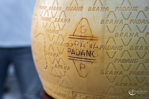 Latteria San Pietro <br/ > Un Concerto nel Prato 2023